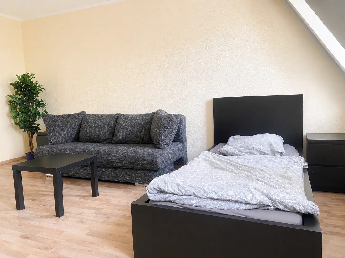 Wohnbereich mit Sofa, Couchtisch und Zimmerpflanze