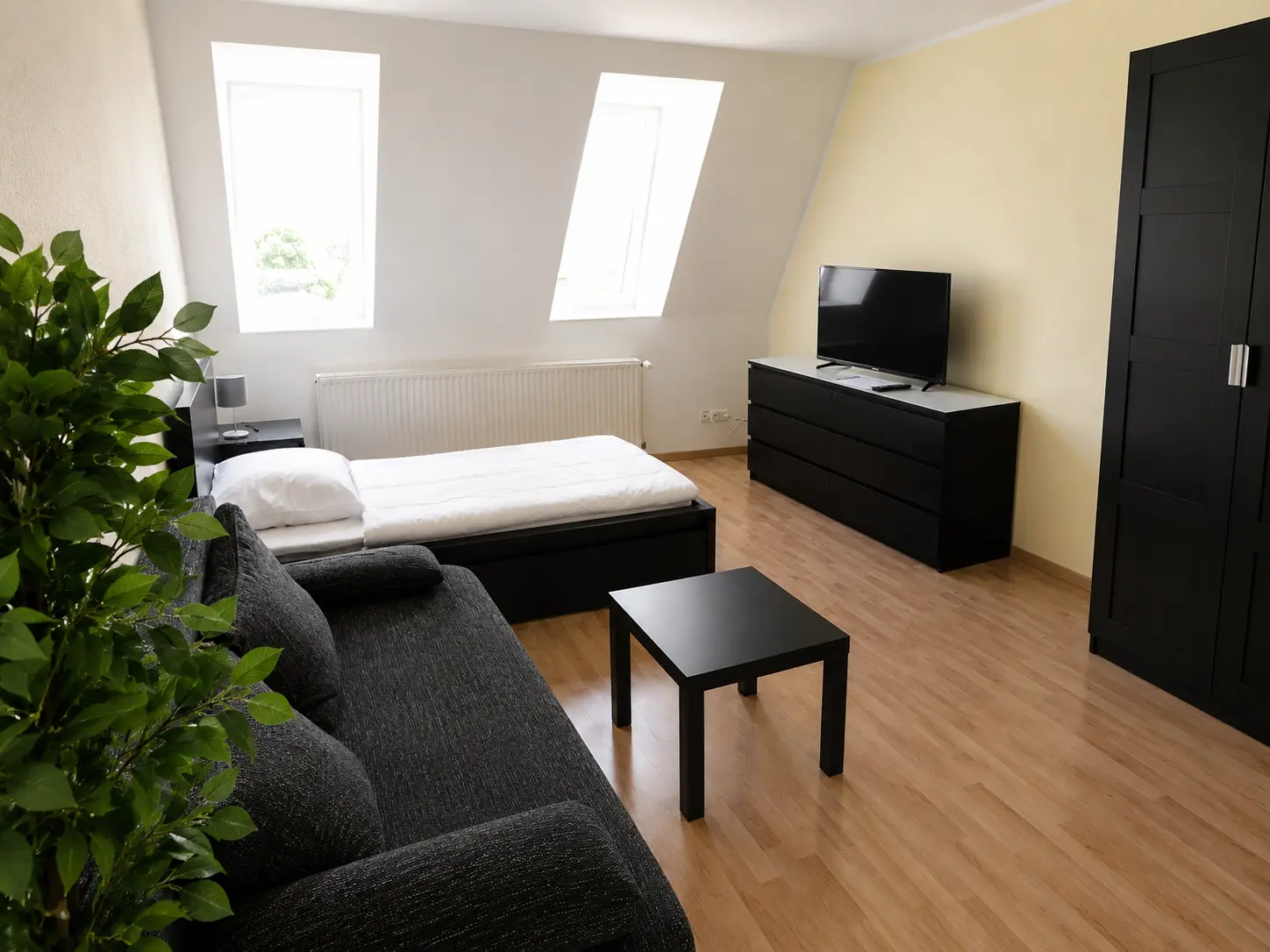 Wohnbereich mit Sofa, TV und Zimmerpflanze